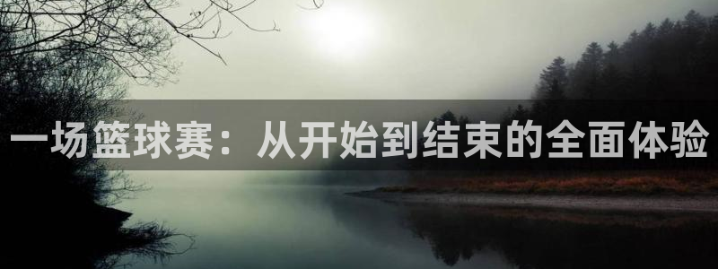 一场篮球赛：从开始到结束的全面体验