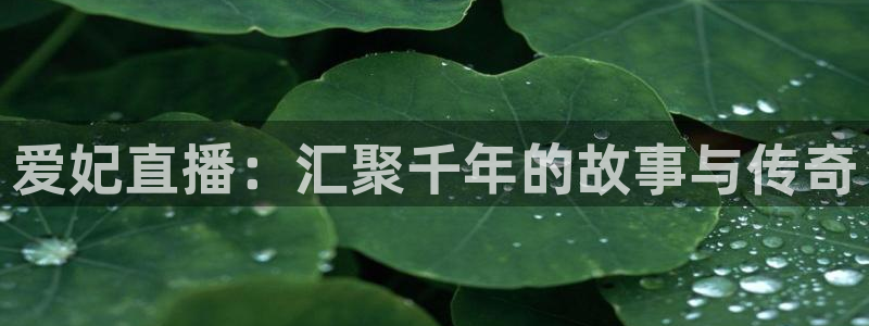 松鼠直播nba：爱妃直播：汇聚千年的故事与传奇