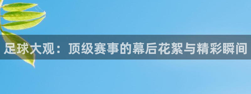 松鼠直播tv：足球大观：顶级赛事的幕后花絮与精彩瞬间
