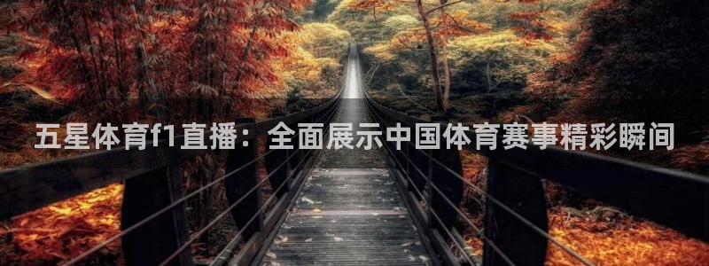 松鼠体育：五星体育f1直播：全面展示中国体育赛事精彩瞬间