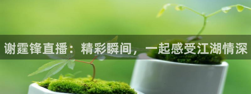 松鼠网官方下载：谢霆锋直播：精彩瞬间，一起感受江湖情深