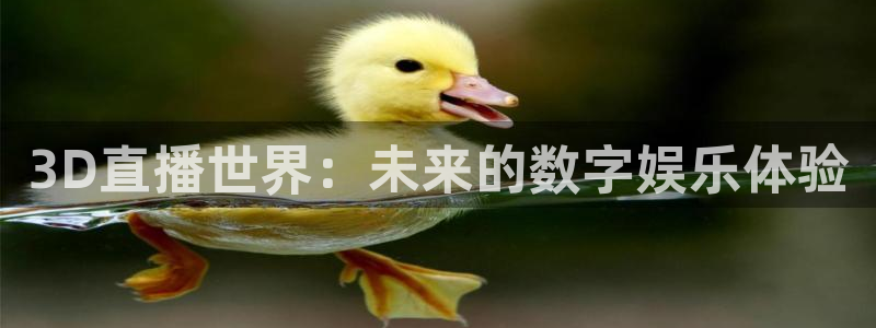 松鼠体育：3D直播世界：未来的数字娱乐体验